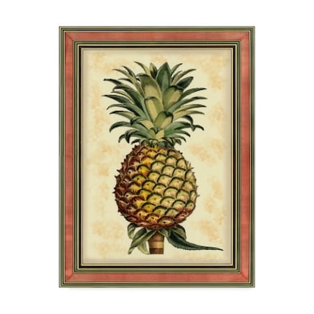 Vision Studio 'Printed Pineapple Splendor Ii' Canvas Art,24x32